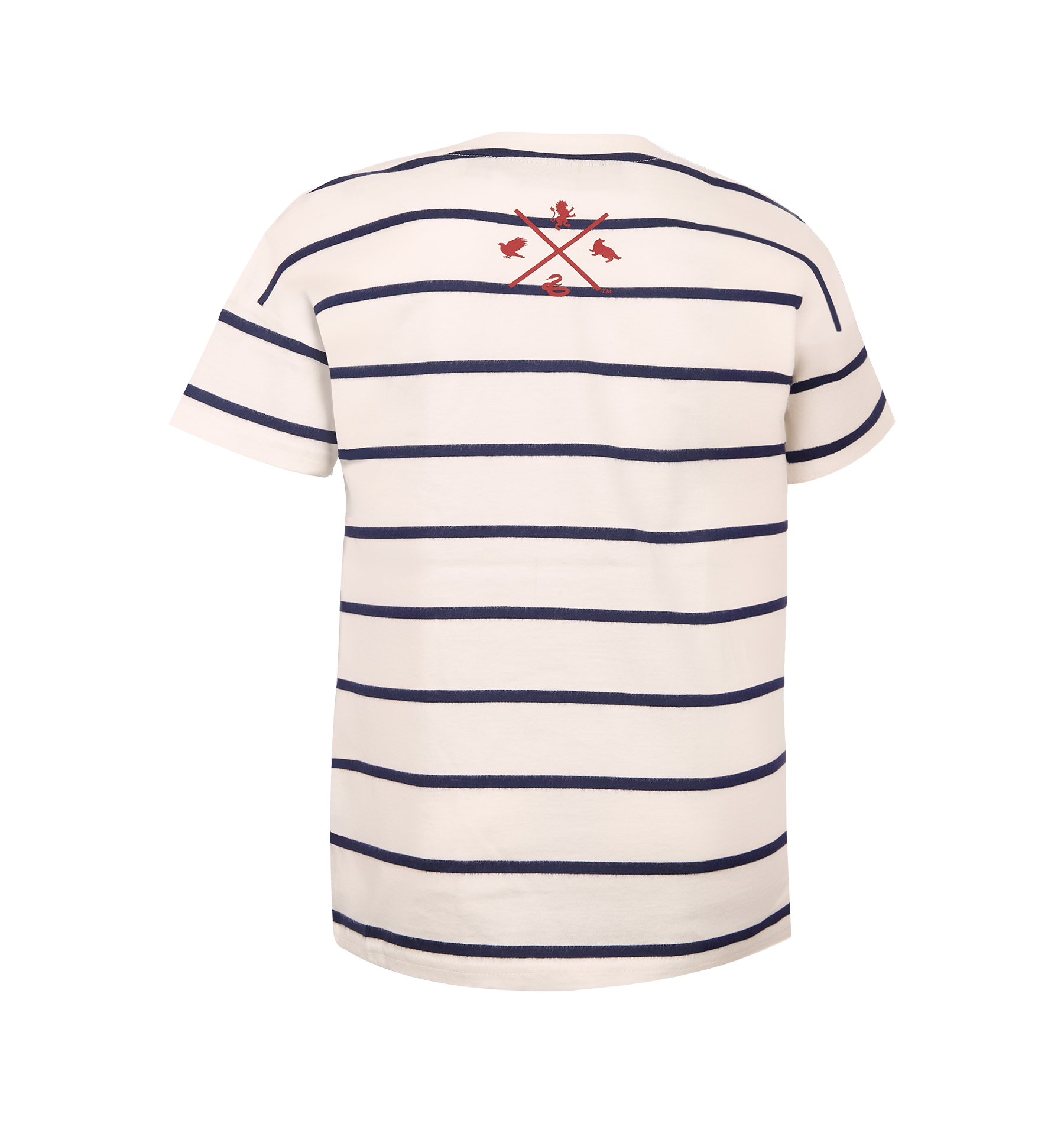 Kids Hogwarts Quidditch T-Shirt with Golden Snitch Embroidery | Harry Potter Shop