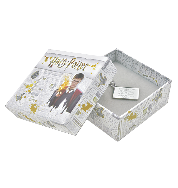 Personalized Hogwarts Acceptance Letter Charm | Harry Potter Gift