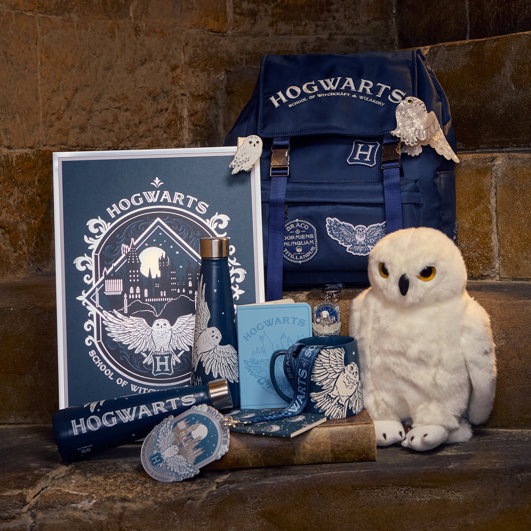 Hogwarts Lanyard with PVC Card Holder & Metal Clip | Magical Accessory
