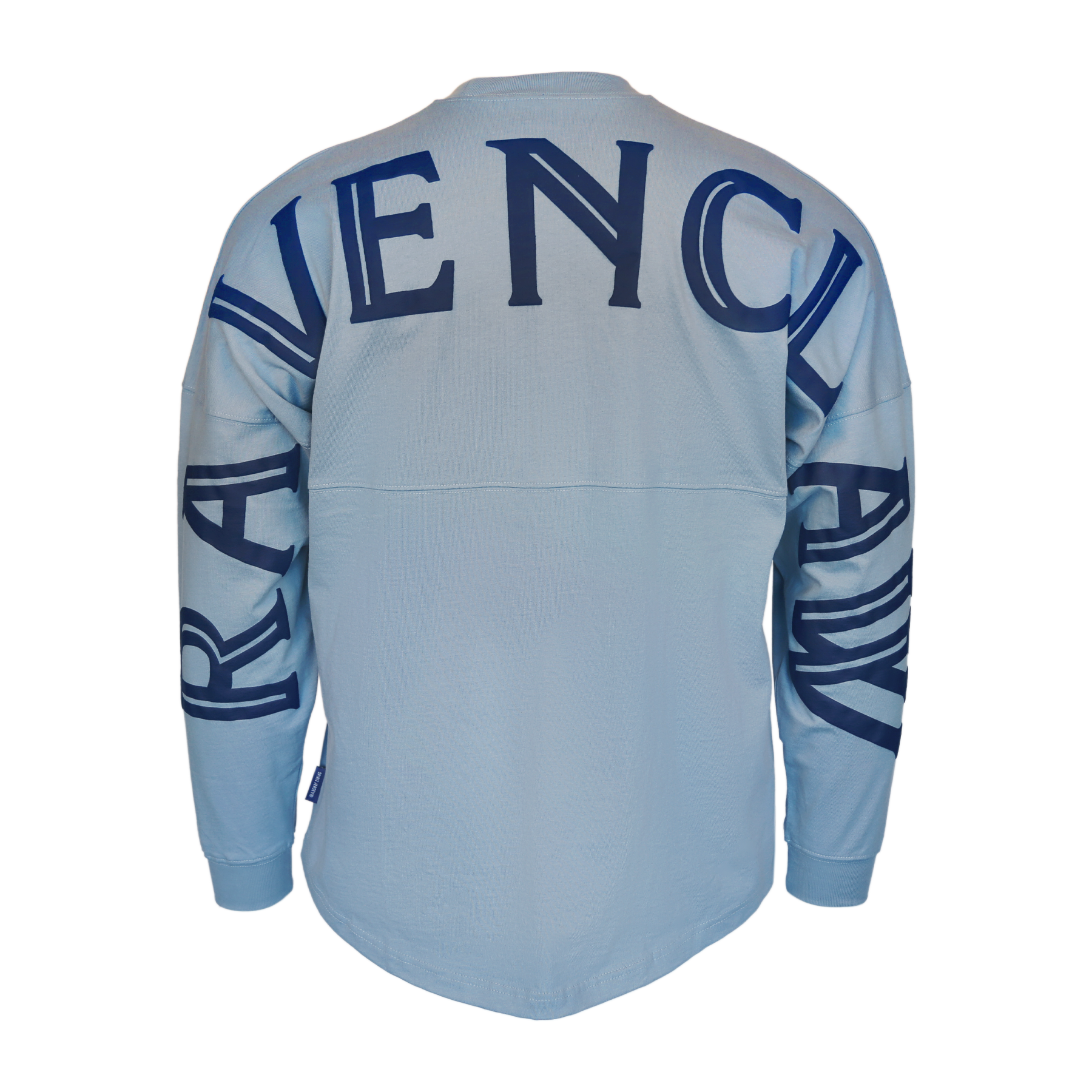 Ravenclaw Spirit Jersey with Eagle Mascot | House Pride Apparel